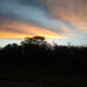 Meet your Posher, Lacey